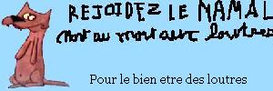 (image)