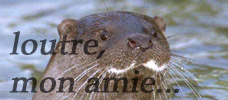 (image)